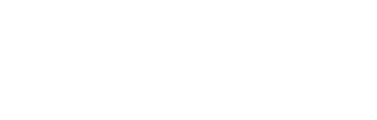 Nuon Solar Team