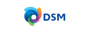 DSM